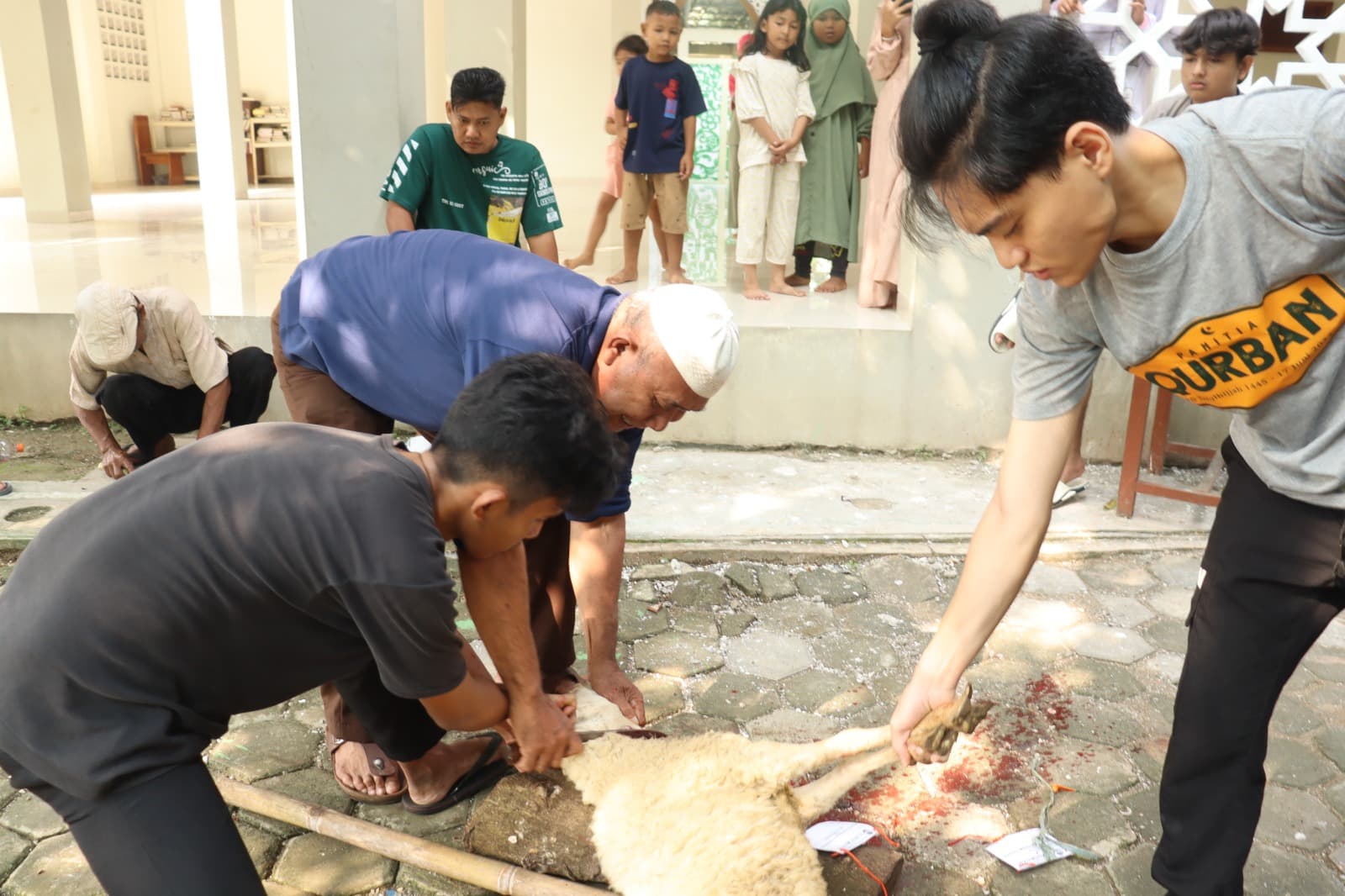 Kebersamaan santri dalam kegiatan qurban